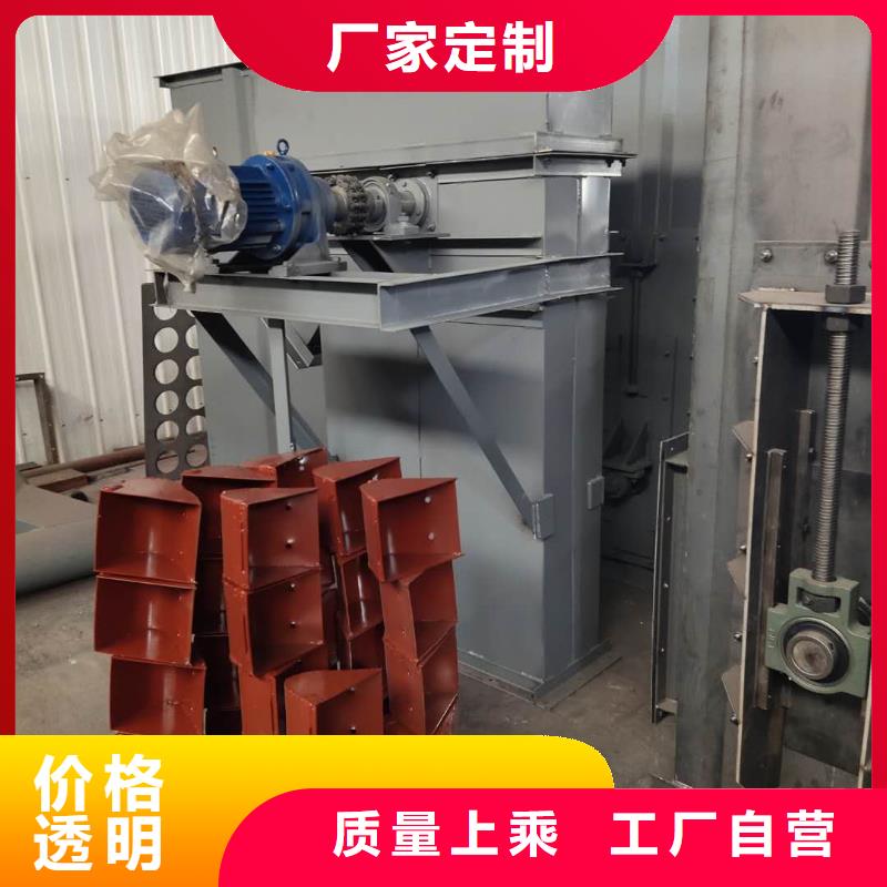 NE100链板斗式机施工团队就近发货