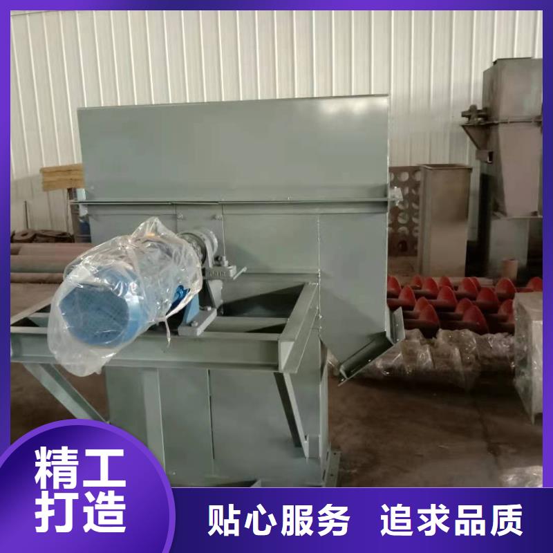 TH环链160型斗式机产品介绍本地货源