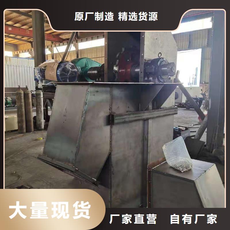 NE100链板斗式机价格优惠多本地制造商