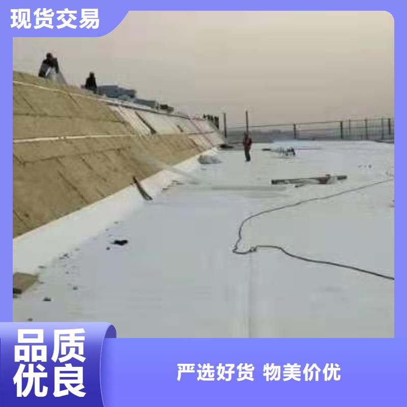 ​TPO防水施工队价格合理直销厂家