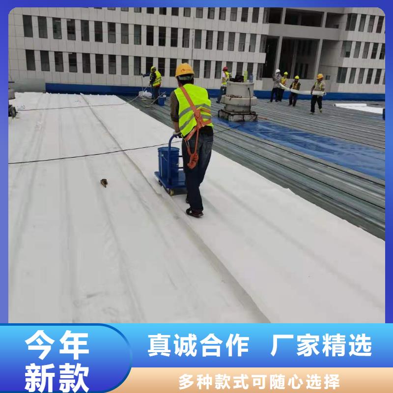 TPOPVC防水卷材对质量负责当地公司