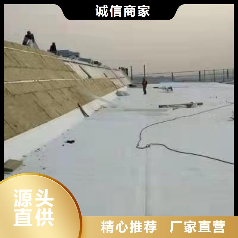 TPO自粘卷材专业精选货源