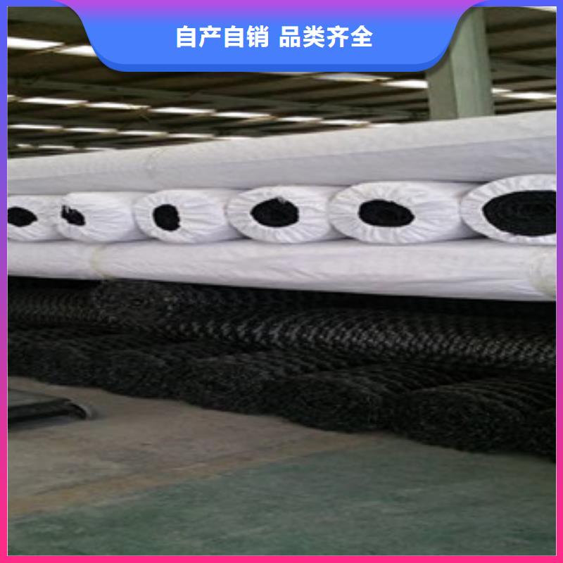 【雙向塑料格柵復(fù)合土工布產(chǎn)品優(yōu)勢特點(diǎn)】細(xì)節(jié)展示