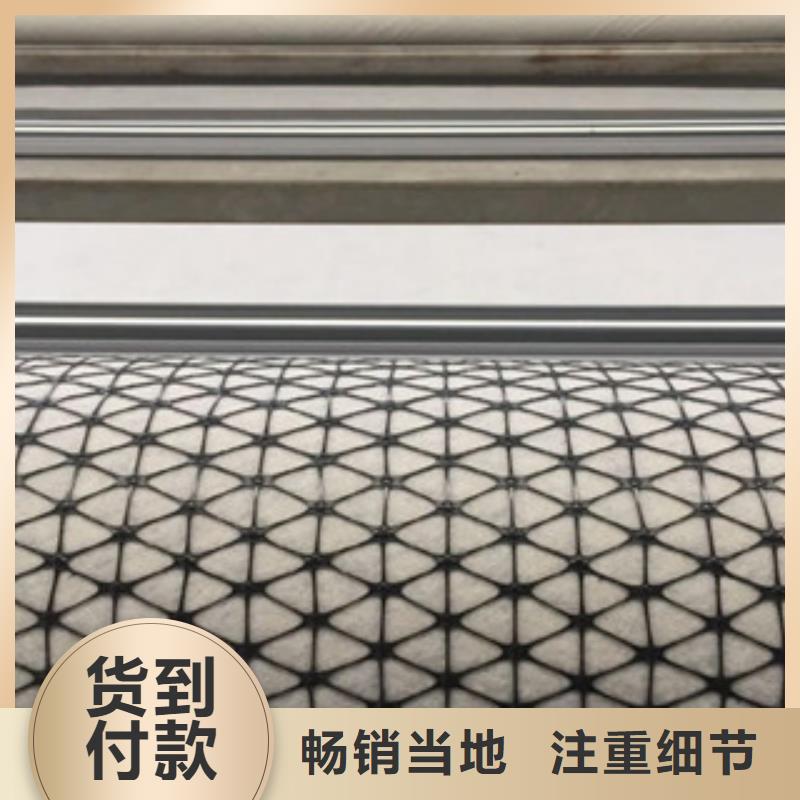 双向塑料格栅,塑料土工格栅同行低价同城公司