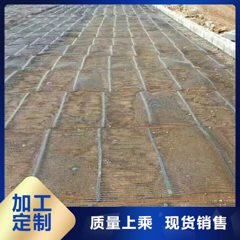 單向塑料格柵膨潤土防水毯我們更專業(yè)0中間商差價