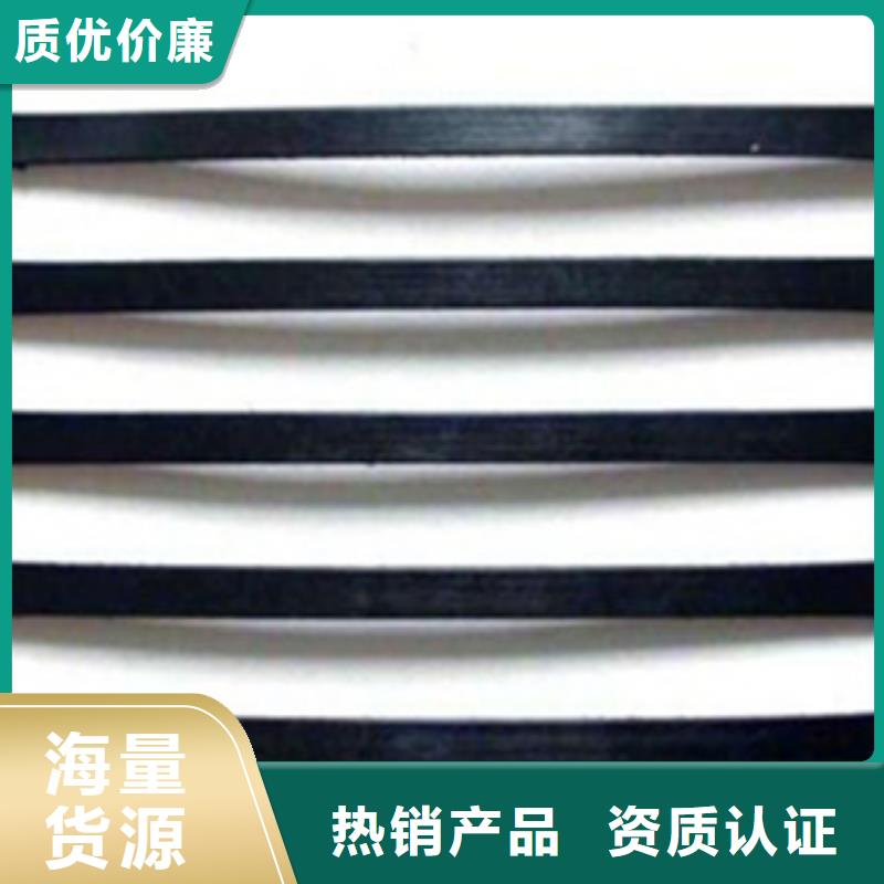 【单向塑料格栅】玻纤土工格栅选择我们没错本地生产厂家