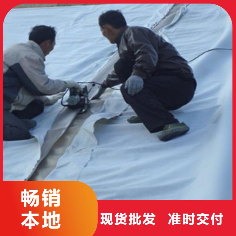 土工布_鋼塑土工格柵客戶信賴的廠家同城貨源