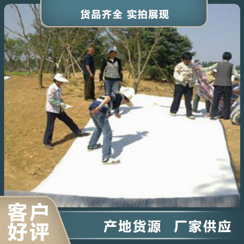 膨润土防水毯三维植被网分类和特点本地制造商