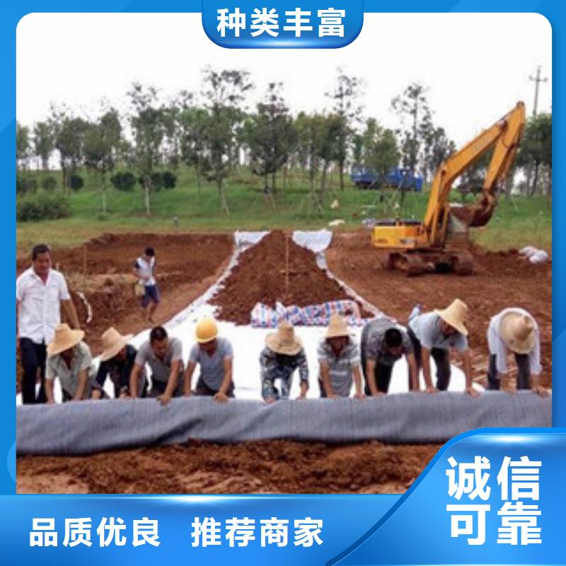 膨润土防水毯实力雄厚品质保障质检合格发货