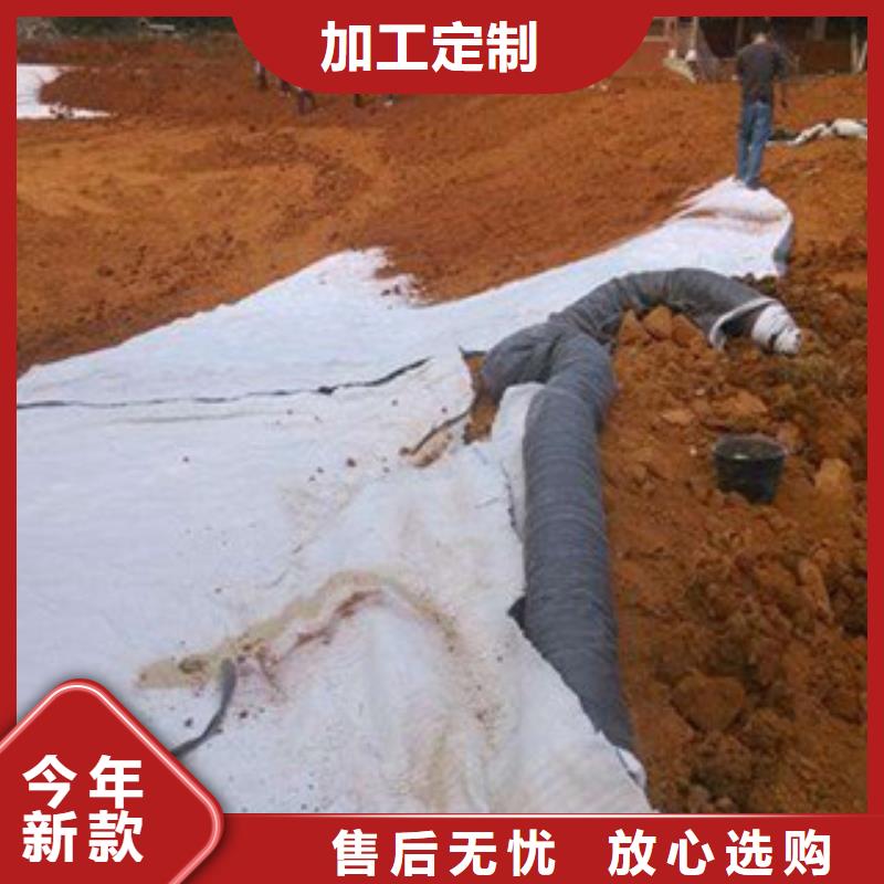 膨潤土防水毯塑料土工格柵廠家精品優(yōu)選