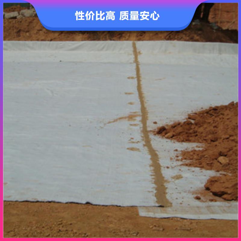膨潤(rùn)土防水毯玻纖土工格柵一站式供應(yīng)層層質(zhì)檢
