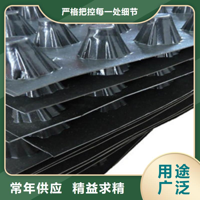 塑料排水板閃電發(fā)貨同城制造商