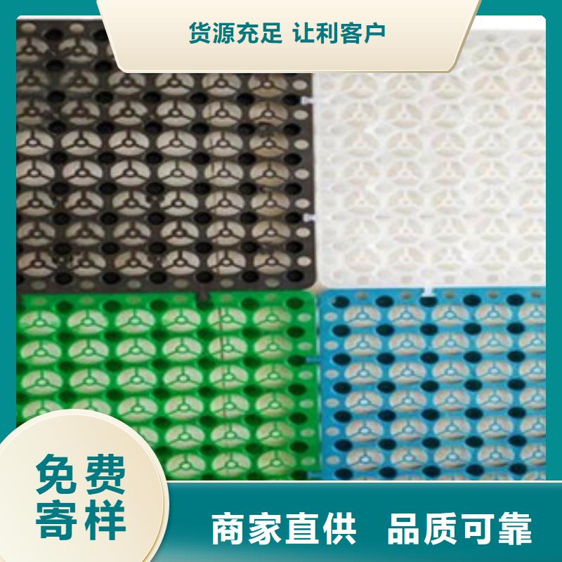 塑料排水板塑料土工格栅支持定制海量货源
