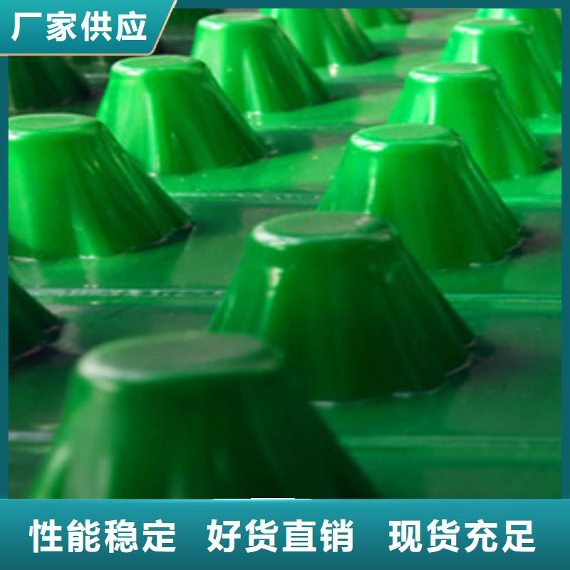 塑料排水板生態(tài)袋廠家質(zhì)量層層把關(guān)精挑細(xì)選好貨