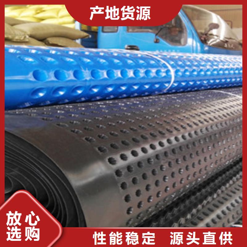 塑料排水板土工布廠家品質(zhì)無(wú)所畏懼產(chǎn)品細(xì)節(jié)參數(shù)