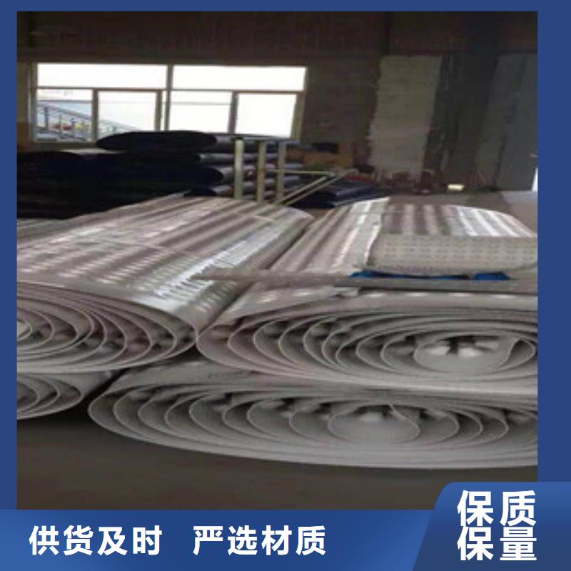 塑料排水板蓄排水板厂家厂家直销值得选择厂家规格全