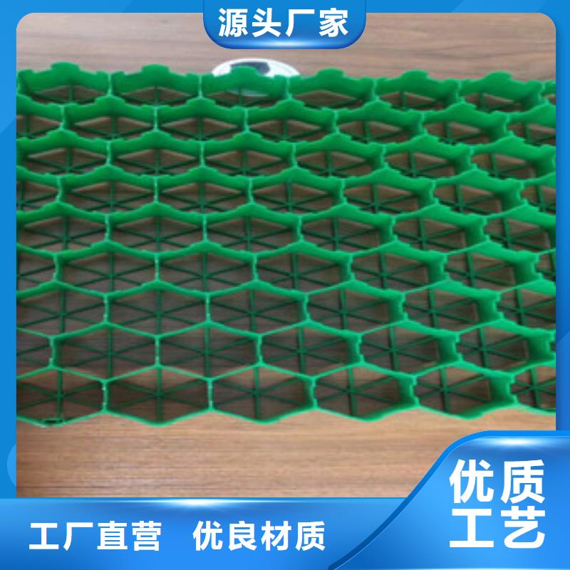 植草格-植草格廠家貨真價(jià)實(shí)本地經(jīng)銷商