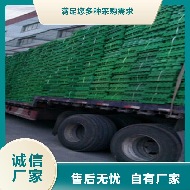 【植草格】土工布厂家实地大厂信誉有保证