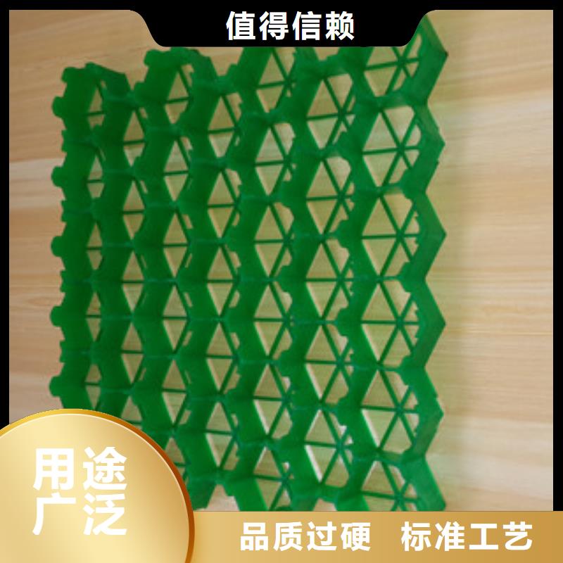 植草格,排水板廠家精選優(yōu)質(zhì)材料質(zhì)檢合格出廠