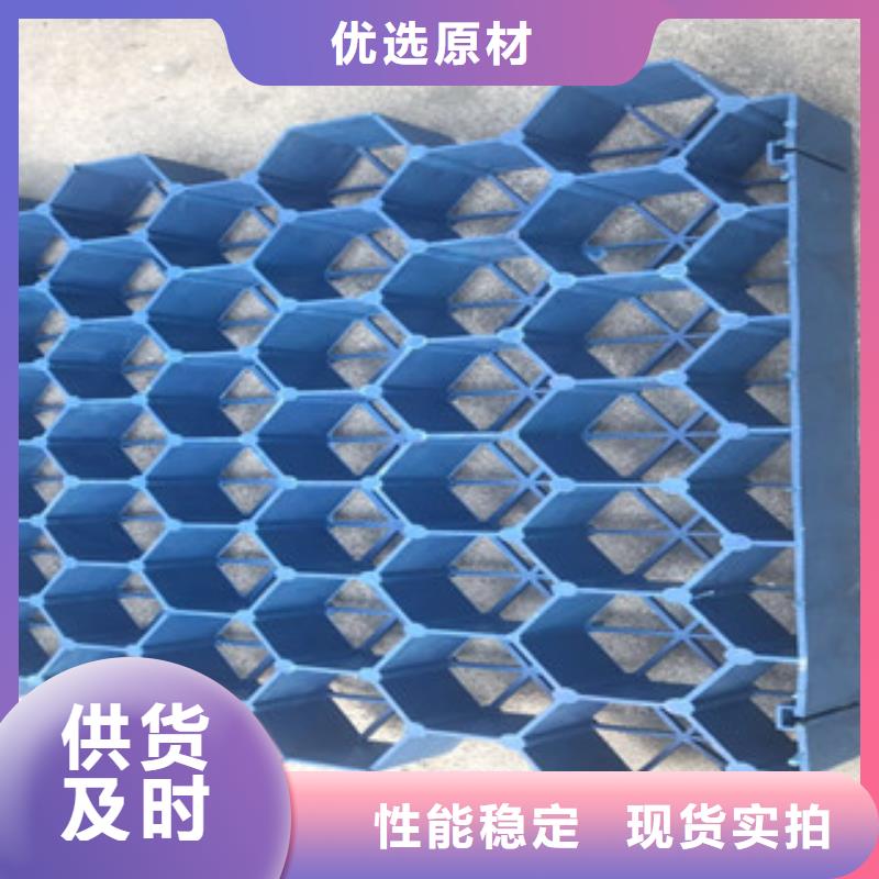 植草格-植草格廠家支持加工定制廠家規(guī)格全