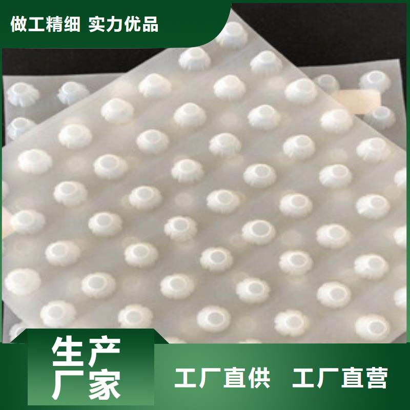 排水板無紡布廠家支持貨到付清客戶信賴的廠家