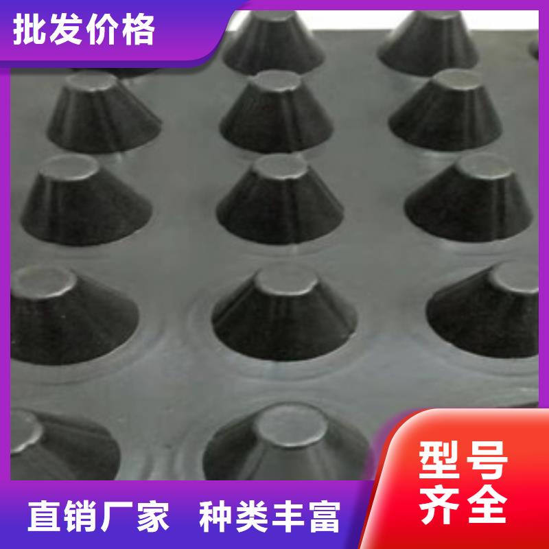 排水板植草格廠家商家本地制造商