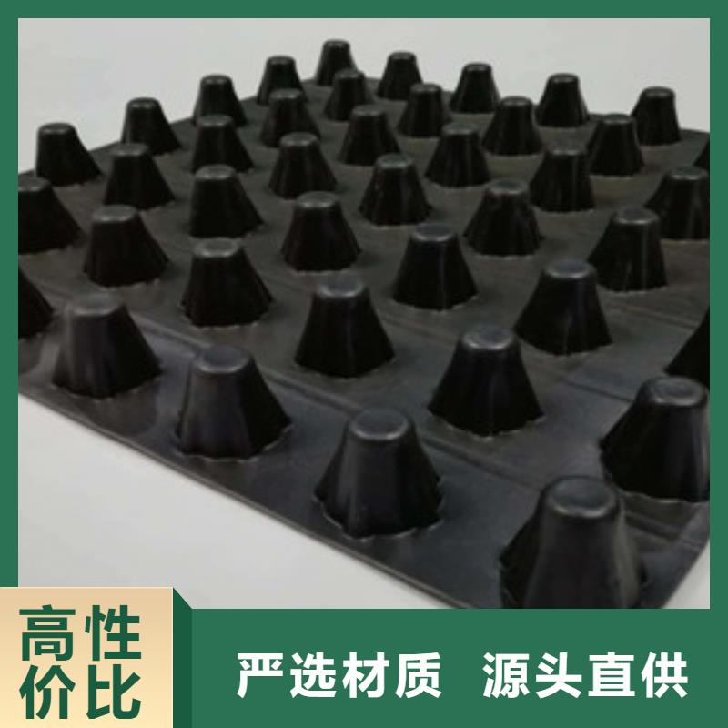排水板蓄排水板廠家品質(zhì)卓越當(dāng)?shù)亟?jīng)銷商