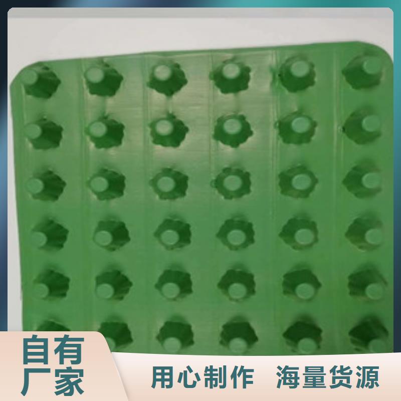 排水板,排水板廠家一站式供應(yīng)廠家同城生產(chǎn)廠家