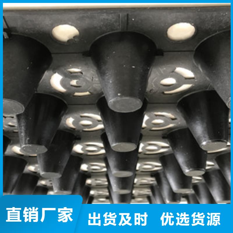 蓄排水板,膨潤(rùn)土防水毯廠家現(xiàn)貨充裕種類豐富