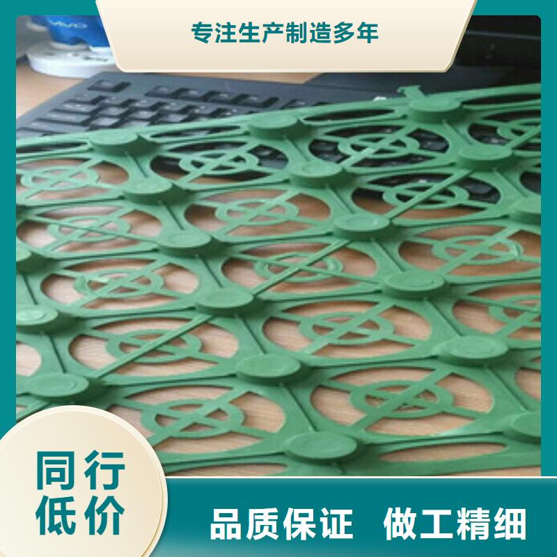 蓄排水板_【排水板廠家】高品質(zhì)誠信廠家性價(jià)比高