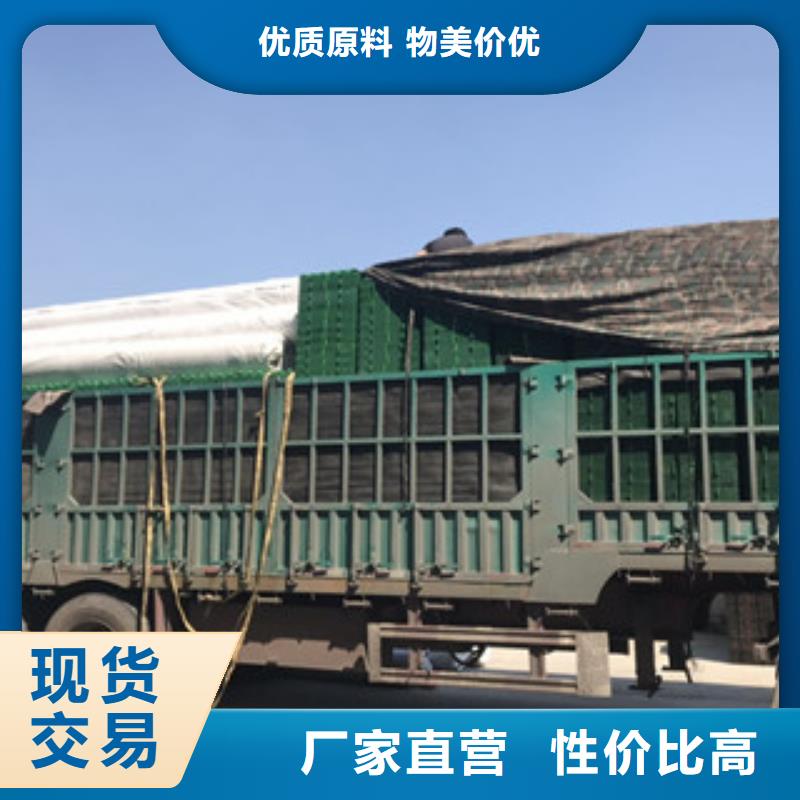 蓄排水板,土工膜廠家顏色尺寸款式定制同城生產(chǎn)商
