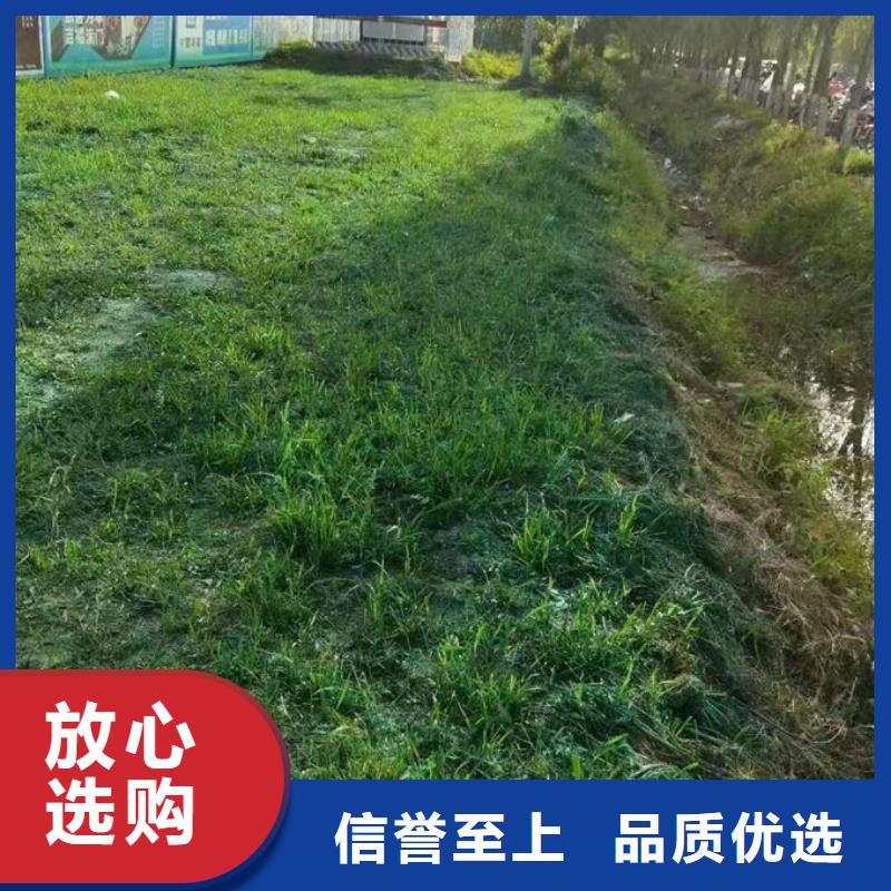 環(huán)保抑塵劑來電咨詢當?shù)貜S家
