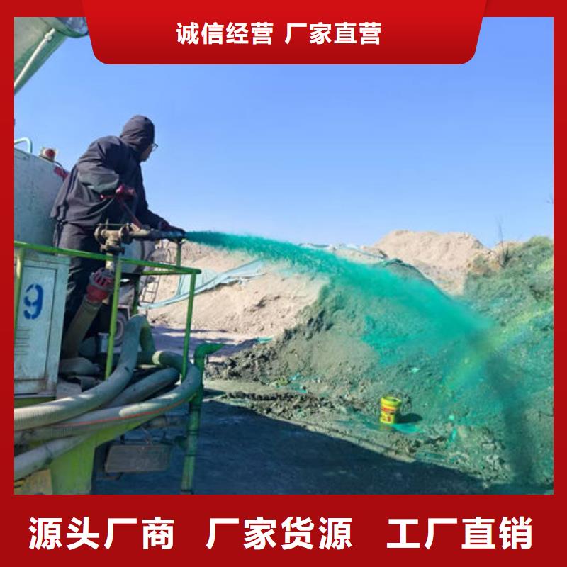/FK26253499.html