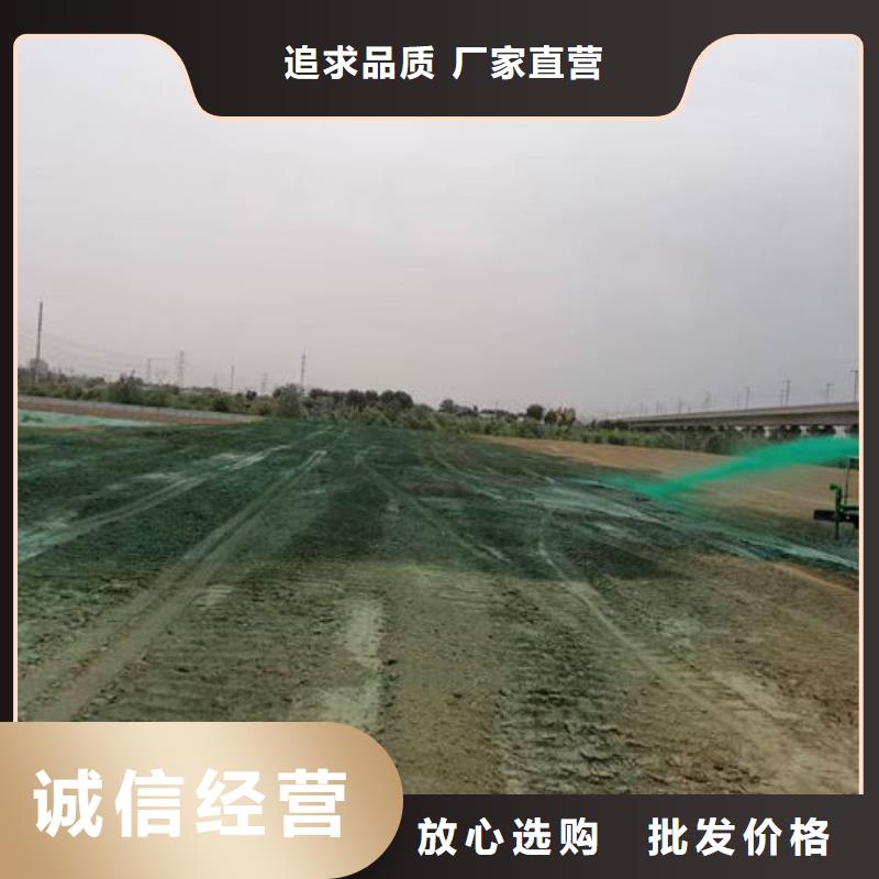 生物酶抑塵劑廠家供應(yīng)同城廠家