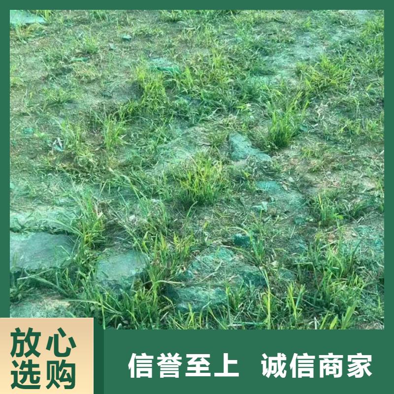 運煤火車結殼抑塵劑廠家供應同城供應商