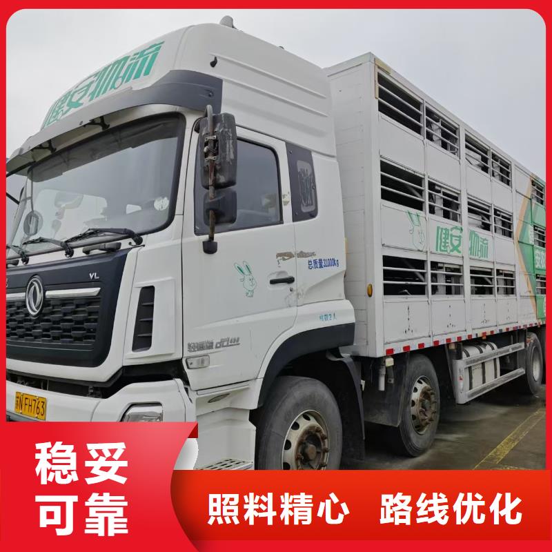 淮南到佛山畜禽運(yùn)輸細(xì)致入微