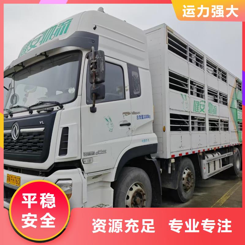 宿遷市沭陽到嘉興豬籠車運輸專業(yè)專注