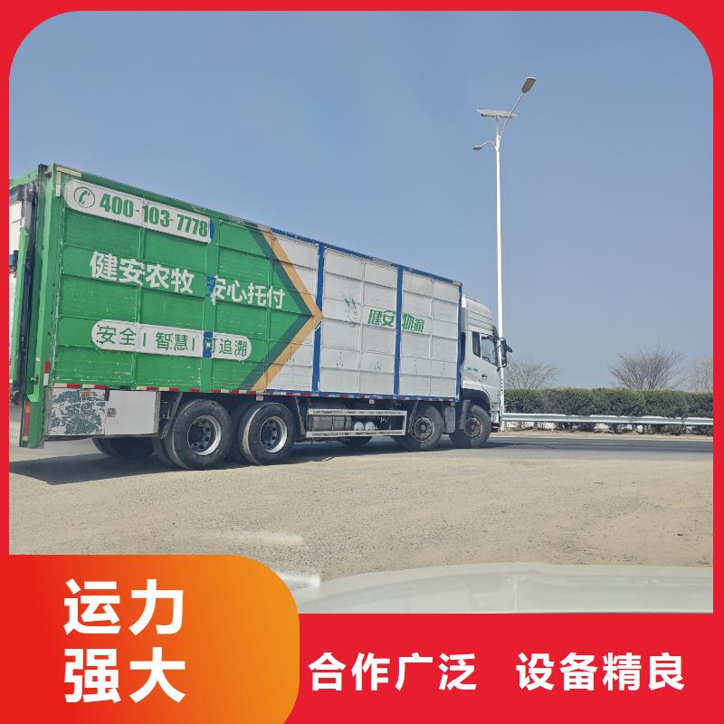 商丘到慈溪畜禽运输信誉卓著