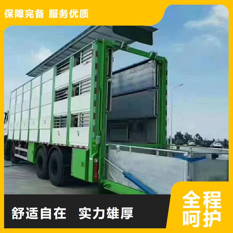 宿遷市到臨沂豬只運輸專用車管理規(guī)范