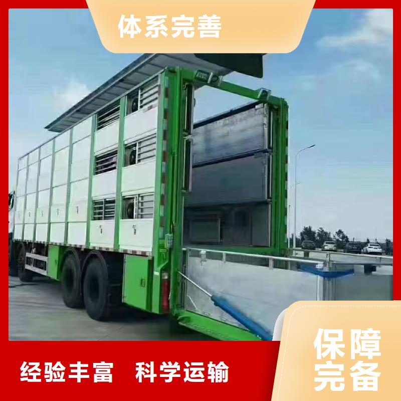 宿遷市泗洪到馬鞍山豬籠車物流順暢