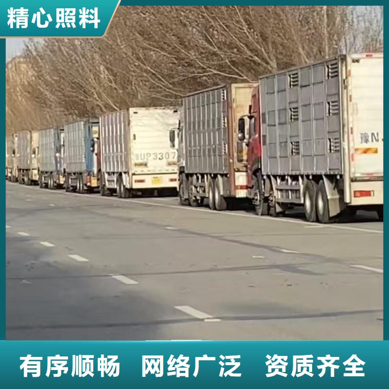 宿遷市到豬只貿(mào)易舒適自在經(jīng)久耐用
