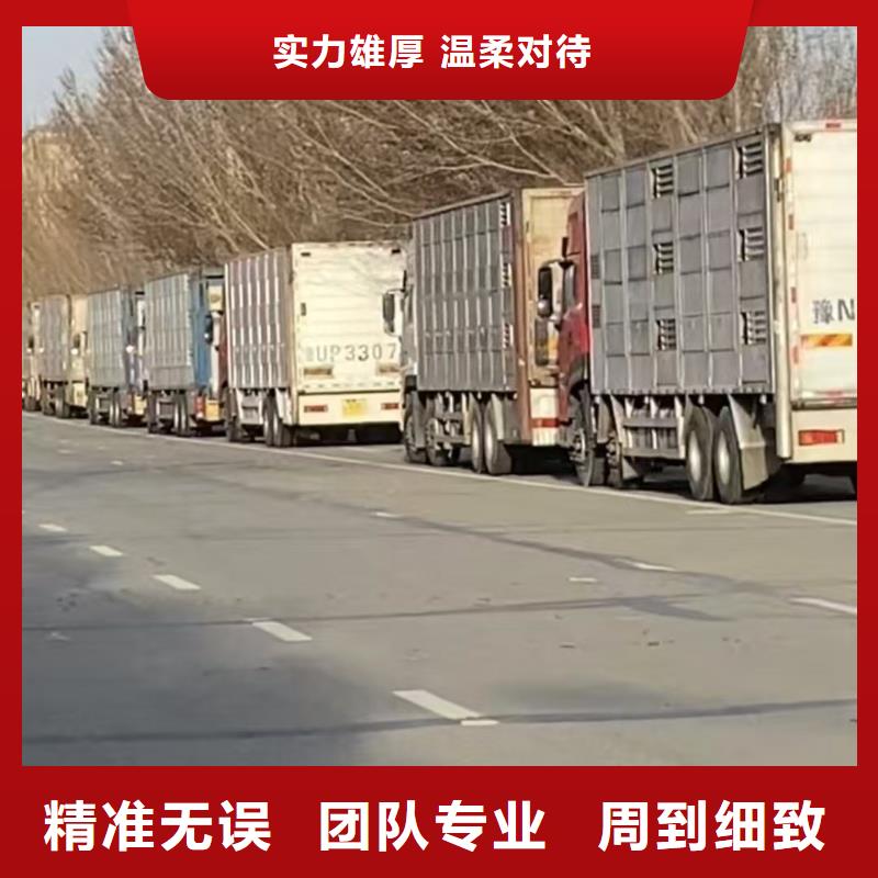 宿遷市泗陽到鹽城生豬空調(diào)車運輸整車