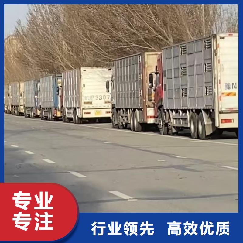 宿遷到碭山牛運(yùn)輸?shù)竭_(dá)