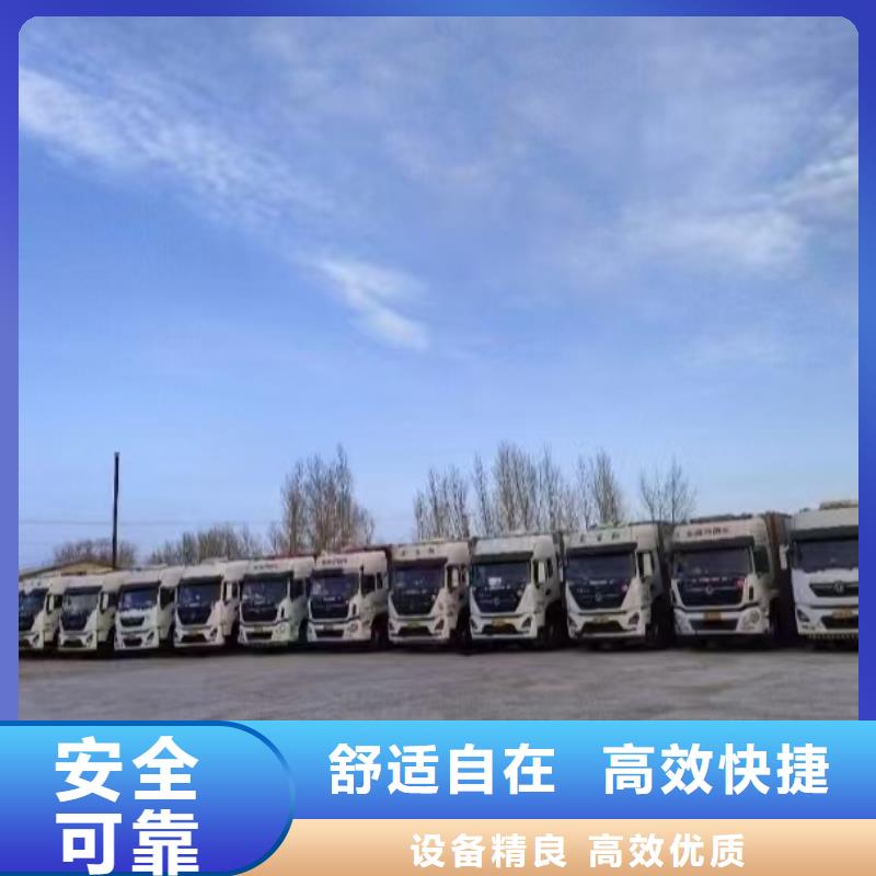 绍兴到驻马店生猪物流合规经营