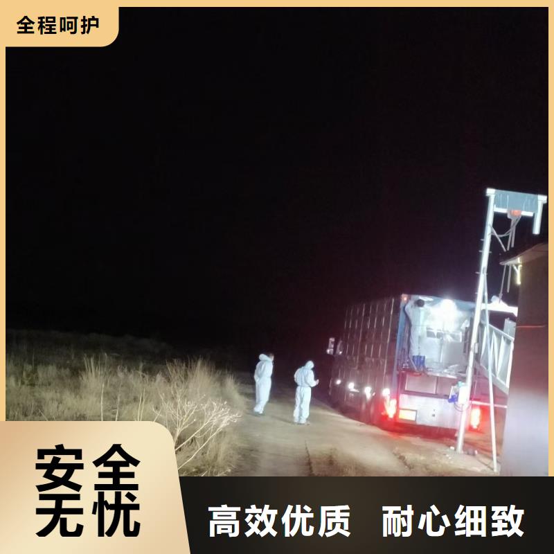 平顶山到山西活禽牲畜-羊运输防护周全