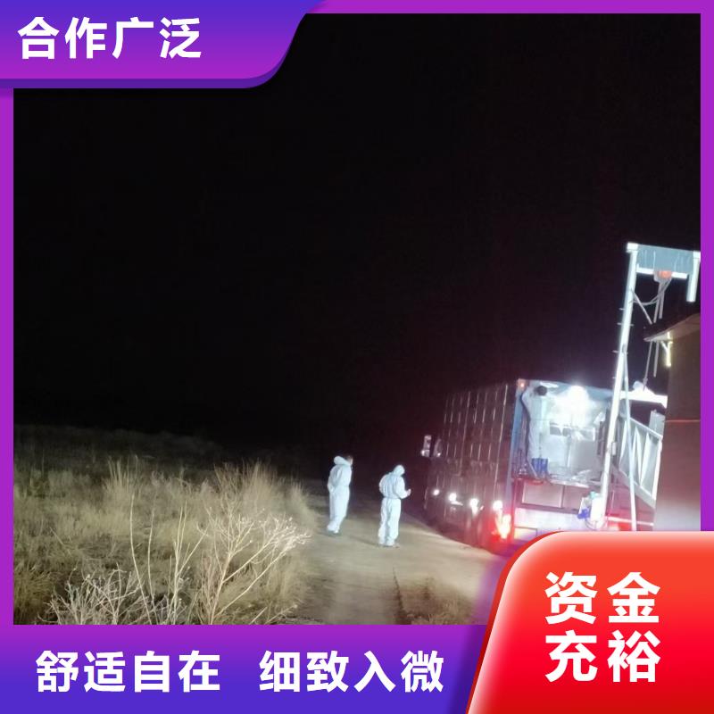 宿遷市泗陽到六安畜禽運輸網(wǎng)絡(luò)廣泛