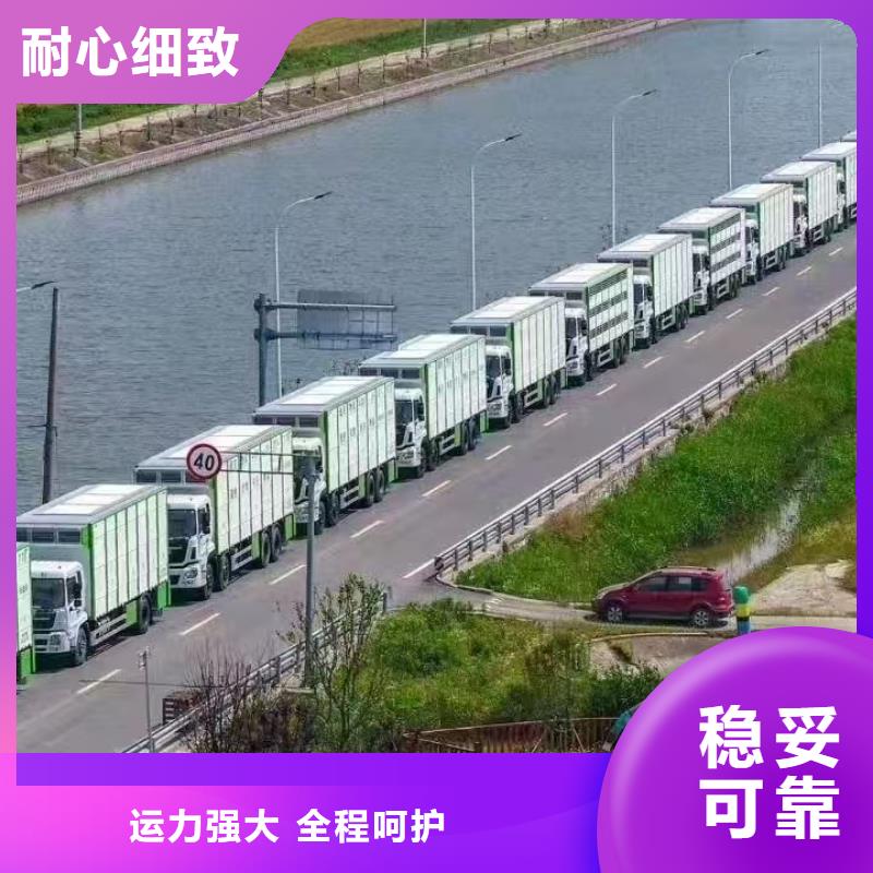 宿迁到焦作猪只运输专用车溯源