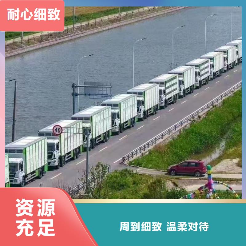宿遷到滁州豬只貿(mào)易車型豐富