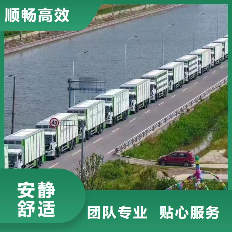 宿遷到生豬空調(diào)車運輸正規(guī)本地公司