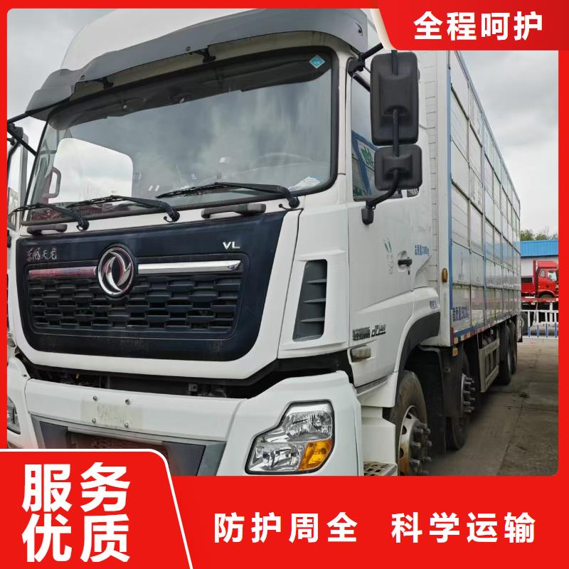 宿遷市泗陽到洛陽仔豬空調(diào)車運輸順暢